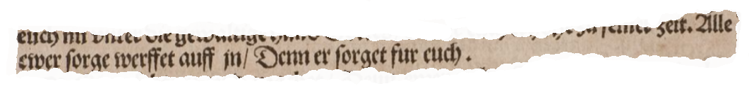 Alle ewer sorge werffet auff jn / Denn er sorget fur euch. Biblia Germanica 1545 S. Peters V.7